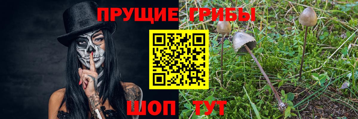 Галлюциногенные грибы GOLDEN TEACHER Валуйки